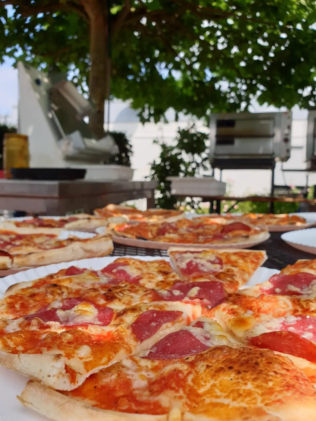 Frisch servierte Pizza auf einem Pappteller im Grünen